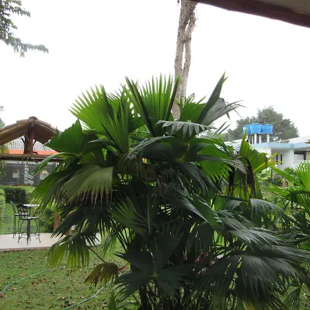 Hotel Yalconia-3
